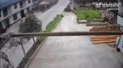 2963683 B