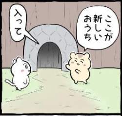14963 B