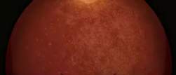8186009 B