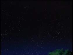 8011775 B