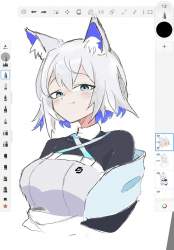 202897 B