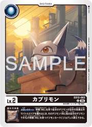 57582 B