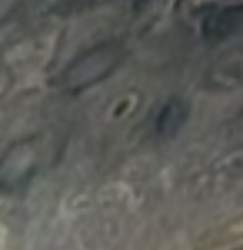 618520 B