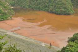 54502 B