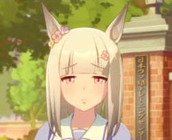40545 B