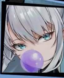 24304 B