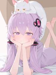 4059911 B