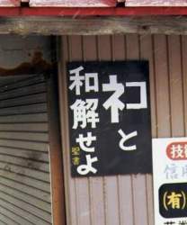42588 B