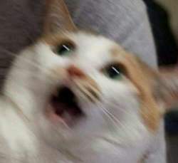 26927 B
