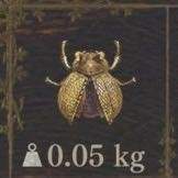 6097 B