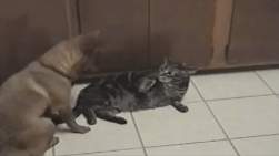 2726556 B