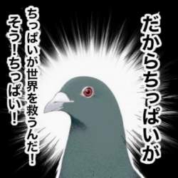 49551 B