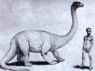 4204 B