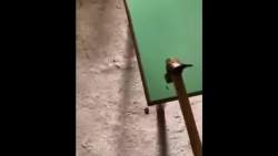 1425728 B