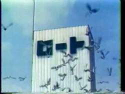 9116 B