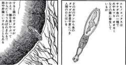 34639 B