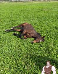 1035216 B