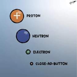 24238 B