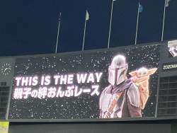 430799 B
