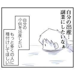243071 B