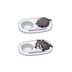 78834 B
