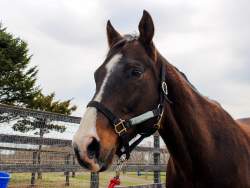 669938 B