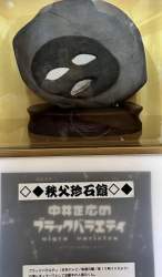 137454 B