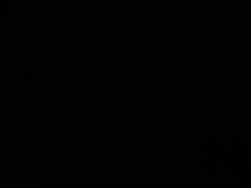 7711557 B
