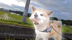 279134 B