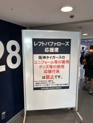 226203 B