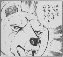 203666 B
