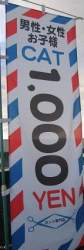 13600 B