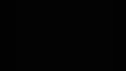 6078531 B