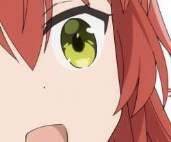 43493 B