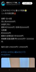 408191 B