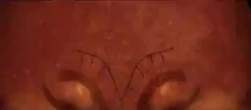 7663868 B