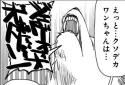 75884 B