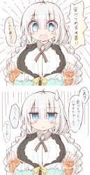 1231207 B