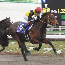 65108 B