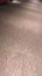5391754 B