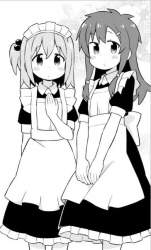 43557 B