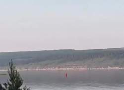1254906 B
