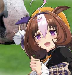 312393 B