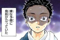 13235 B