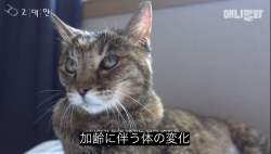 75643 B