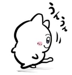 25564 B