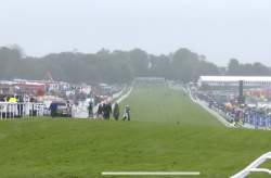 229164 B