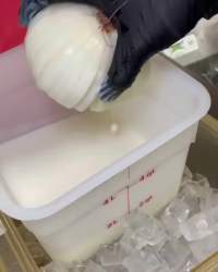 7356590 B