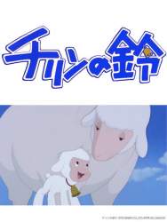 35591 B