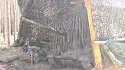 3947815 B